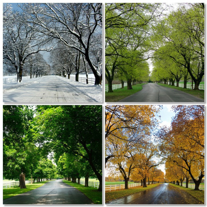 When Do You Capitalize Seasons Word Counter Blog   4 Seasons 700x700 